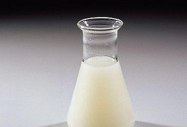 開門見山！您想要知道的關(guān)于食品乳化劑型號功效的一切都在這里了！